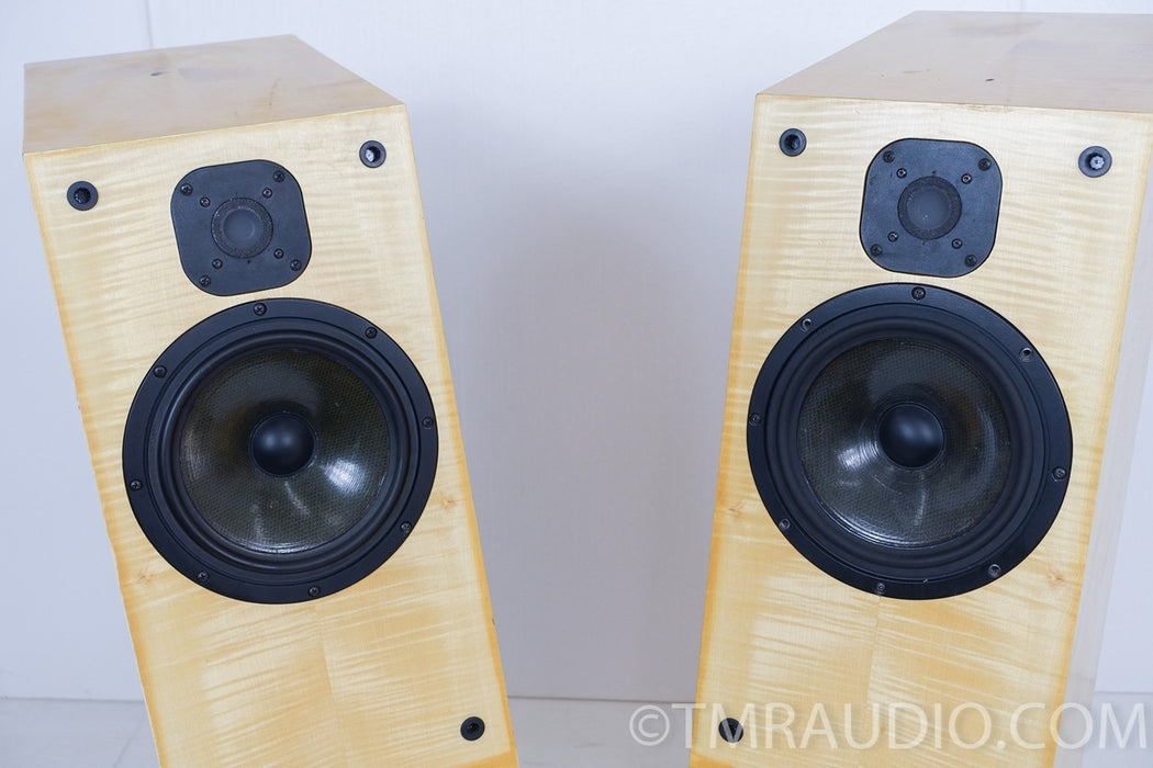 Meret Audio AY Floorstanding Speakers