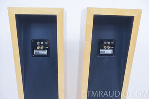 Meret Audio AY Floorstanding Speakers