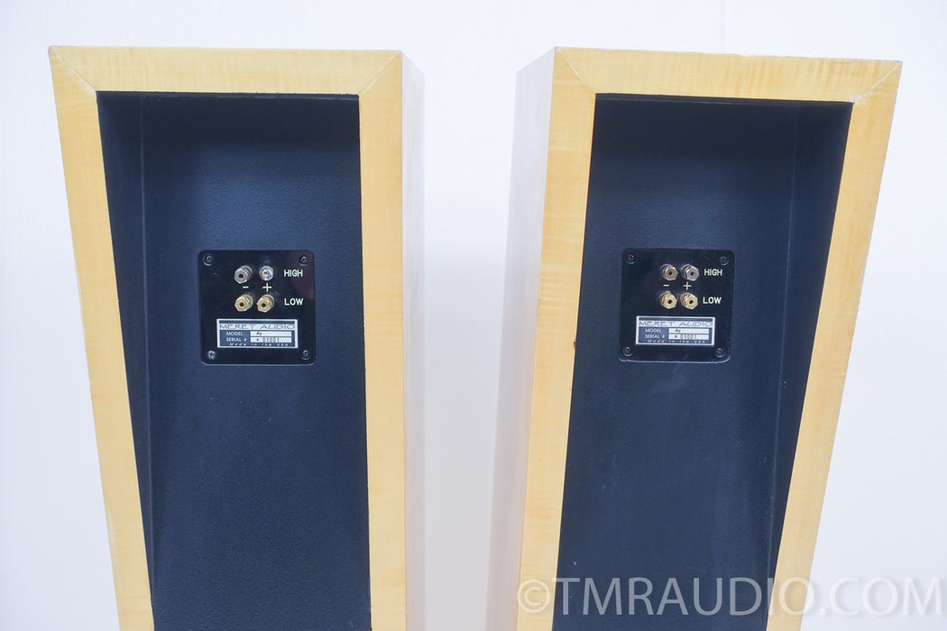 Meret Audio AY Floorstanding Speakers