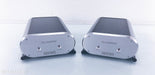 Musical Fidelity X-AS100 Mono Power Amplifiers