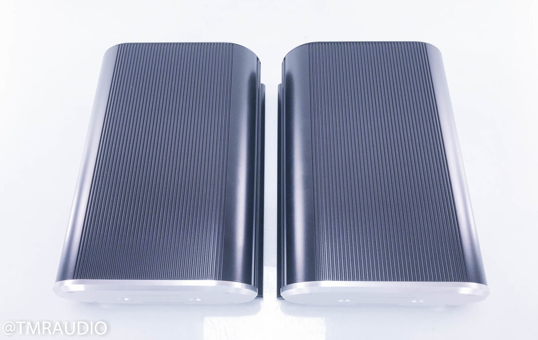 Musical Fidelity X-AS100 Mono Power Amplifiers