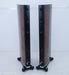 Raidho D-3 Version 2 Floorstanding Speakers