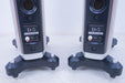 Raidho D-3 Version 2 Floorstanding Speakers