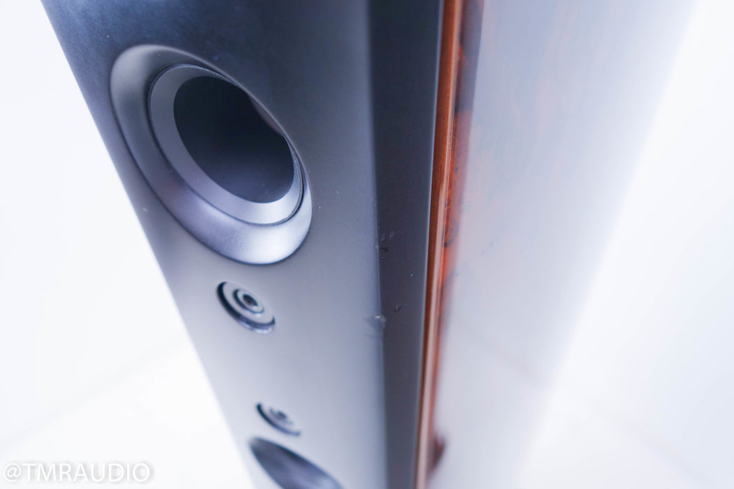 Raidho D-3 Version 2 Floorstanding Speakers