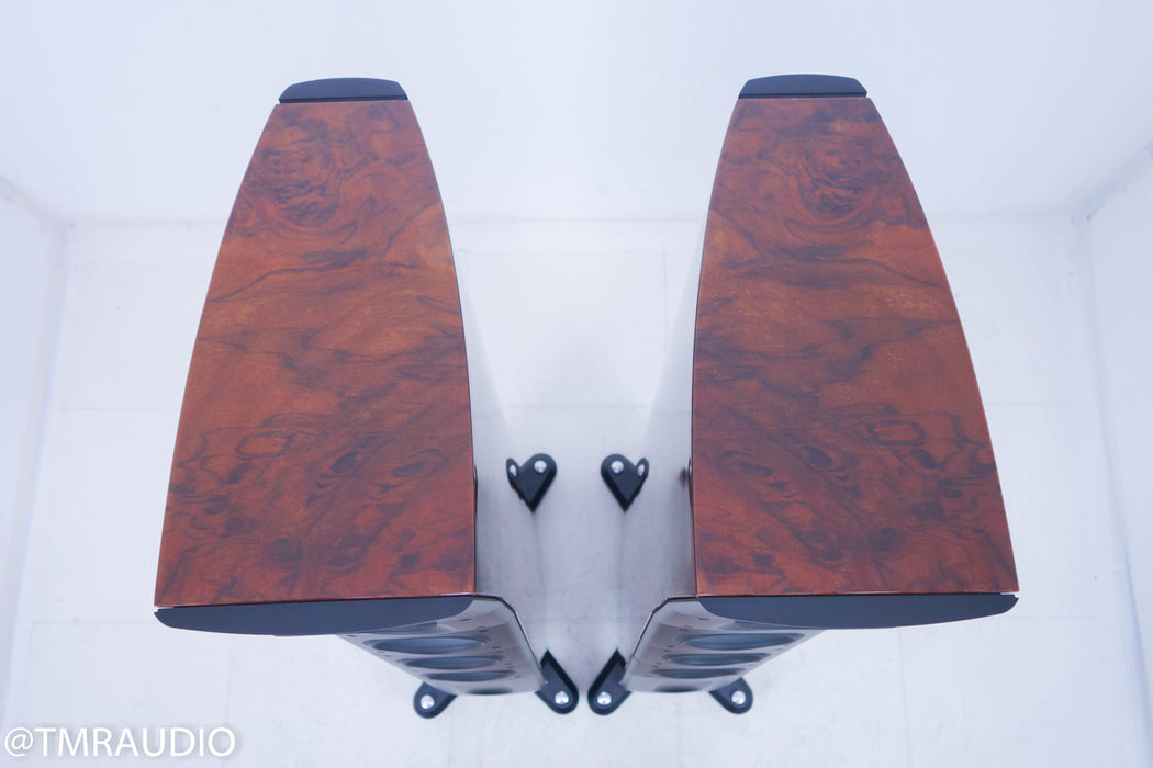Raidho D-3 Version 2 Floorstanding Speakers