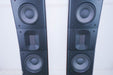 Raidho D-3 Version 2 Floorstanding Speakers