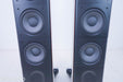 Raidho D-3 Version 2 Floorstanding Speakers
