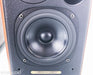 Sonus Faber Concertino Bookshelf Speakers