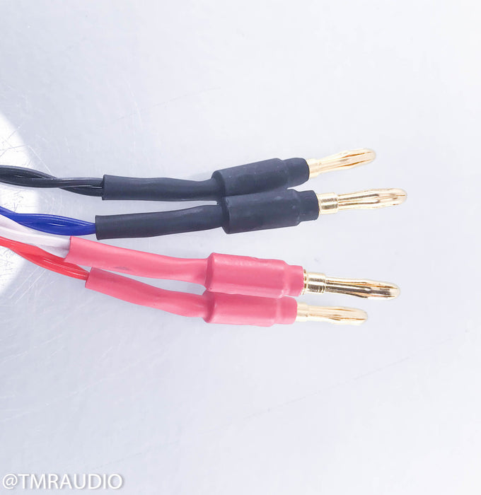 Tara Labs Prism Helix 8 Bi-Wire Speaker Cable