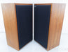 Ohm C2 Vintage Speakers w/ New Foam Surrounds
