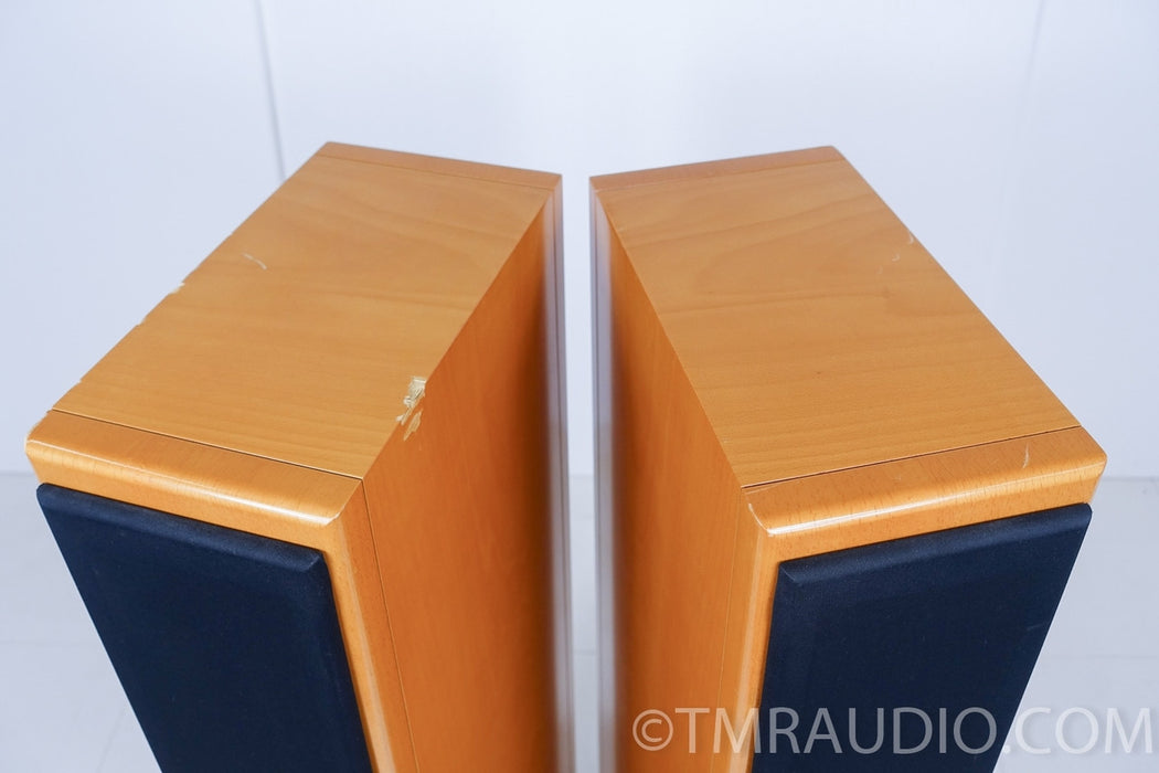 Vienna Acoustics Beethoven Speakers