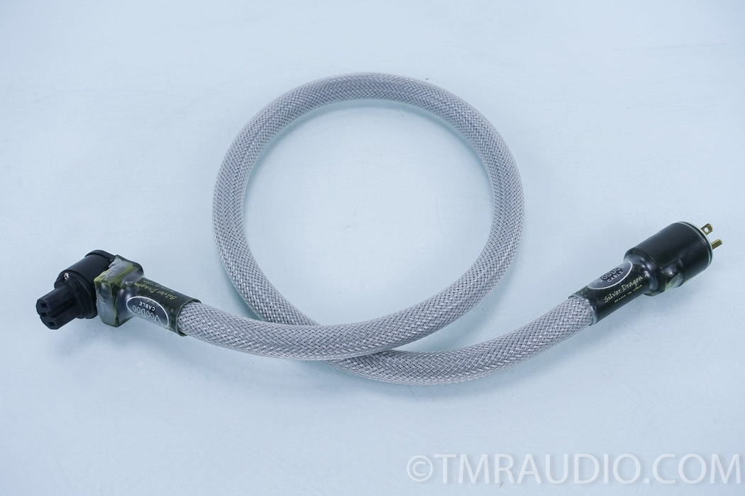 VooDoo Silver Dragon 4' Power Cord in Factory Box