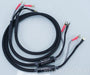 VooDoo Reference II Speaker Cable