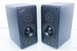 Merlin TSM-M Bookshelf Speakers