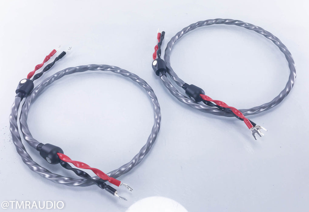 Wireworld Equinox 7 Speaker Cables
