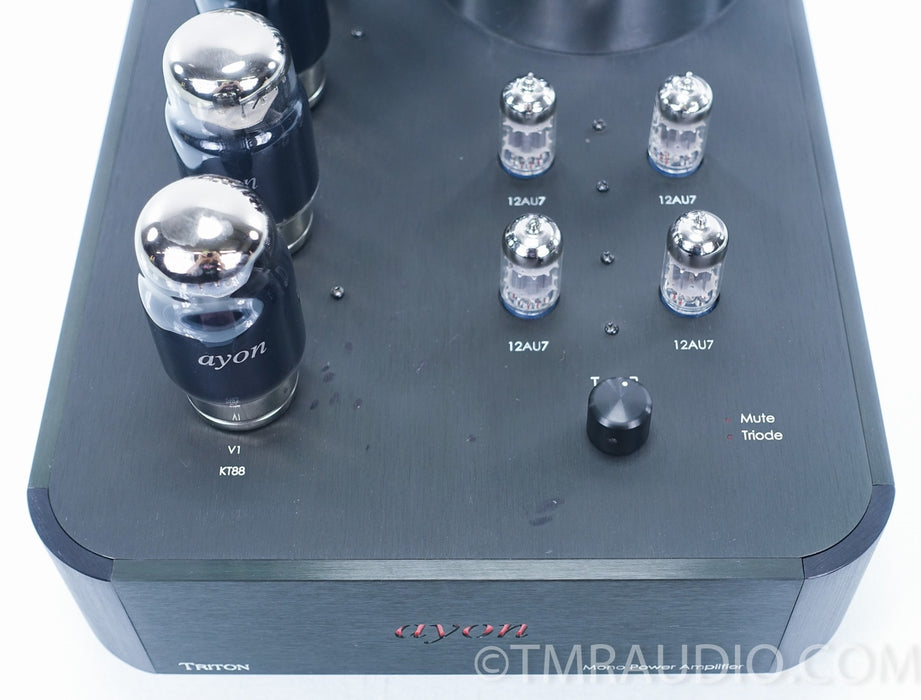 Ayon Triton Mono Tube Power Amplifier in Factory Boxes