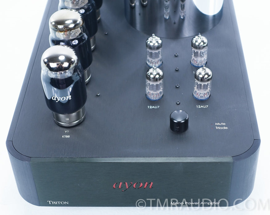 Ayon Triton Mono Tube Power Amplifier in Factory Boxes