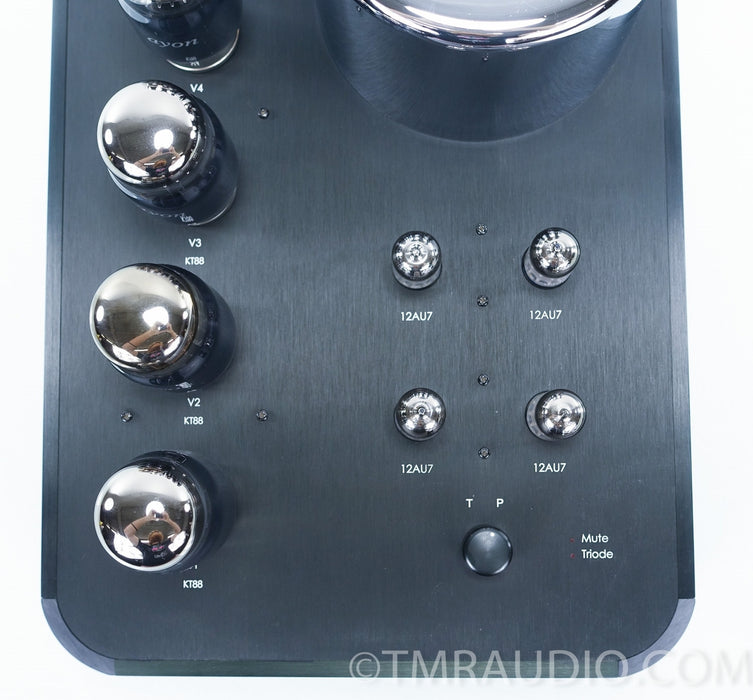 Ayon Triton Mono Tube Power Amplifier in Factory Boxes