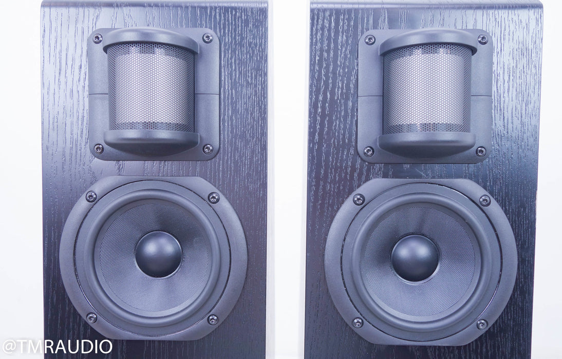 Anthony Gallo Nucleus Classico Series IV Floorstanding Speakers