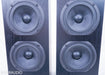 Anthony Gallo Nucleus Classico Series IV Floorstanding Speakers