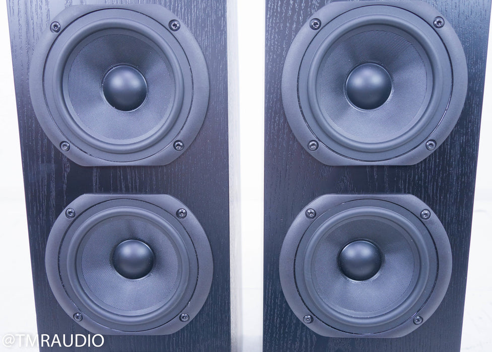 Anthony Gallo Nucleus Classico Series IV Floorstanding Speakers