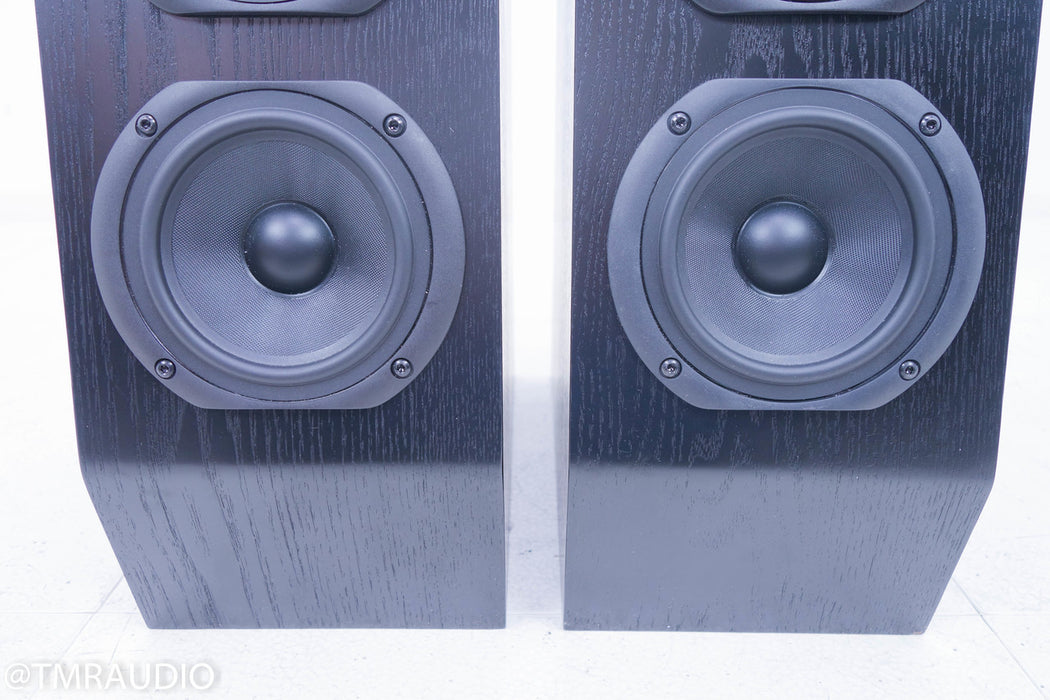 Anthony Gallo Nucleus Classico Series IV Floorstanding Speakers