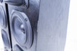 Anthony Gallo Nucleus Classico Series IV Floorstanding Speakers