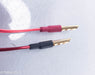 Anticables Level 3.1 Reference Series Speaker Wires