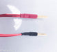 Anticables Level 3.1 Reference Series Speaker Wires