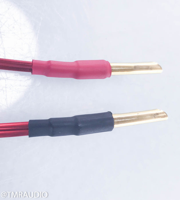Anticables Level 3.1 Reference Series Speaker Wires