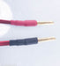 Anticables Level 3.1 Reference Series Speaker Wires