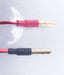 Anticables Level 3.1 Reference Series Speaker Wires
