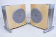 Infinity Prelude MTS Subwoofer