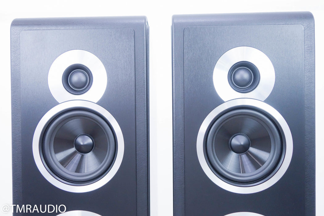 Sonus Faber Chameleon T Floorstanding Speakers