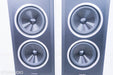 Sonus Faber Chameleon T Floorstanding Speakers