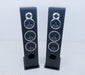 Sonus Faber Chameleon T Floorstanding Speakers
