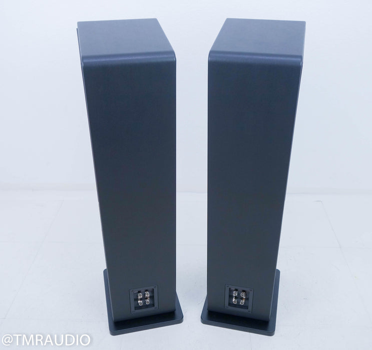 Sonus Faber Chameleon T Floorstanding Speakers