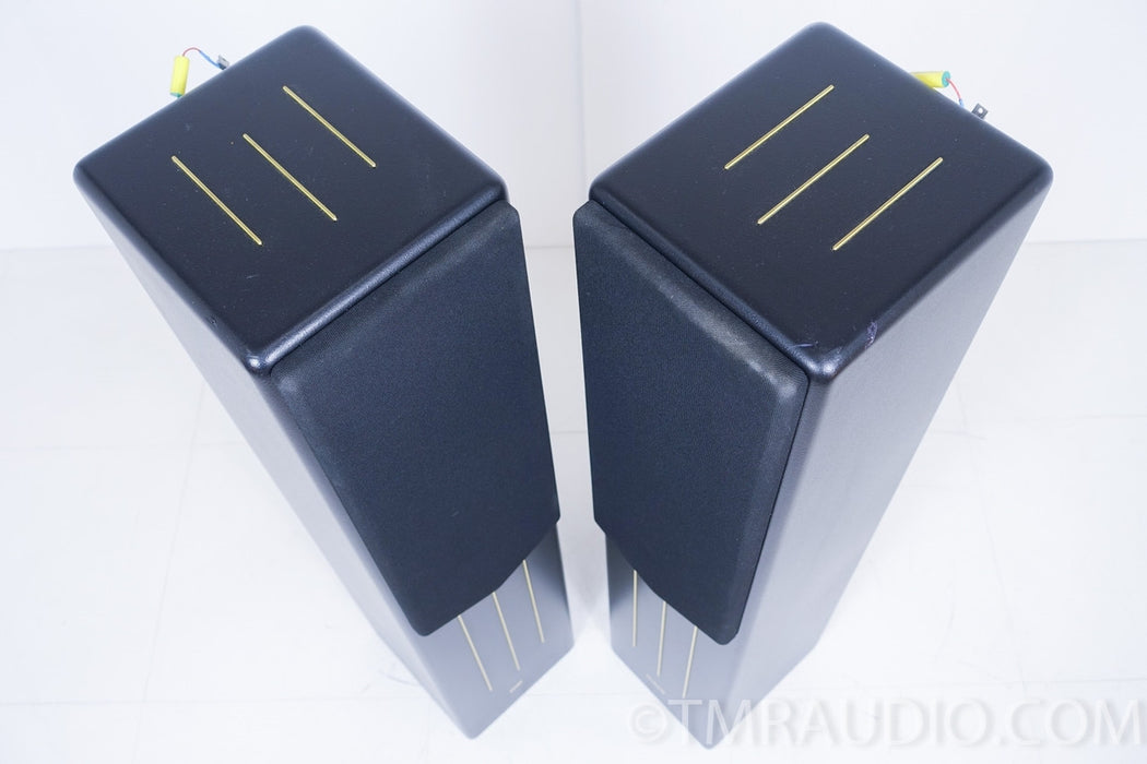 Merlin VSM-M Floorstanding Speakers with BAM Bass Augmentation Module