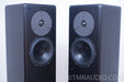Merlin VSM-M Floorstanding Speakers with BAM Bass Augmentation Module