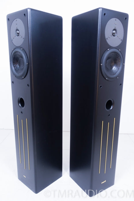 Merlin VSM-M Floorstanding Speakers with BAM Bass Augmentation Module