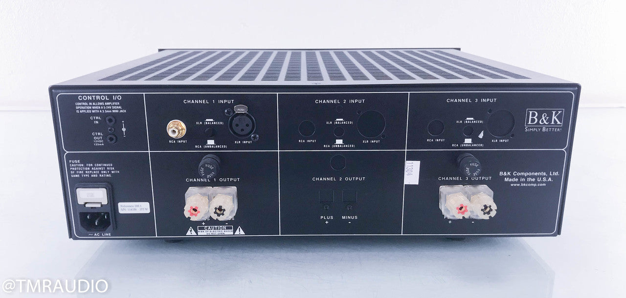 B&K Reference 200.1 Mono Power Amplifier