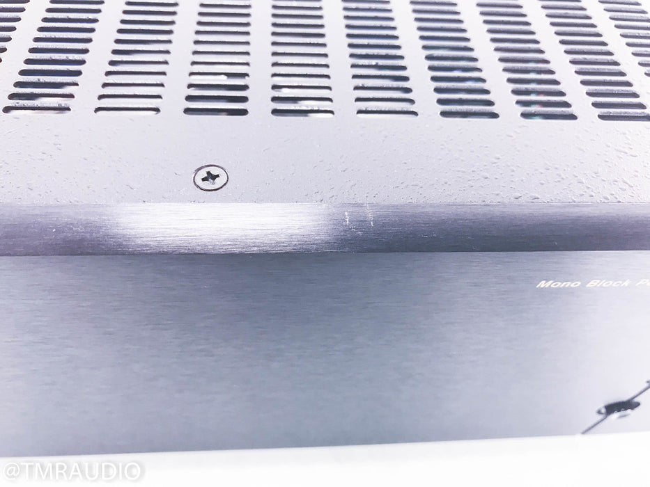 B&K Reference 200.1 Mono Power Amplifier