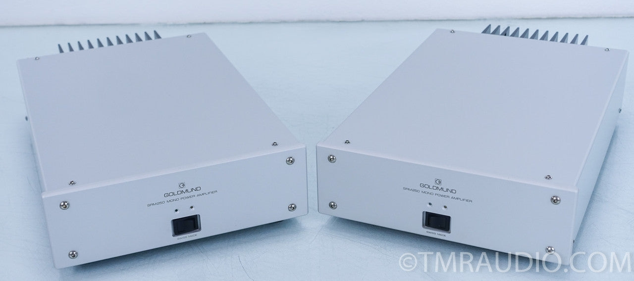 Goldmund SRM-250 Mono Power Amplifier