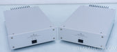 Goldmund SRM-250 Mono Power Amplifier