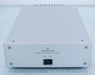 Goldmund SRM-250 Mono Power Amplifier