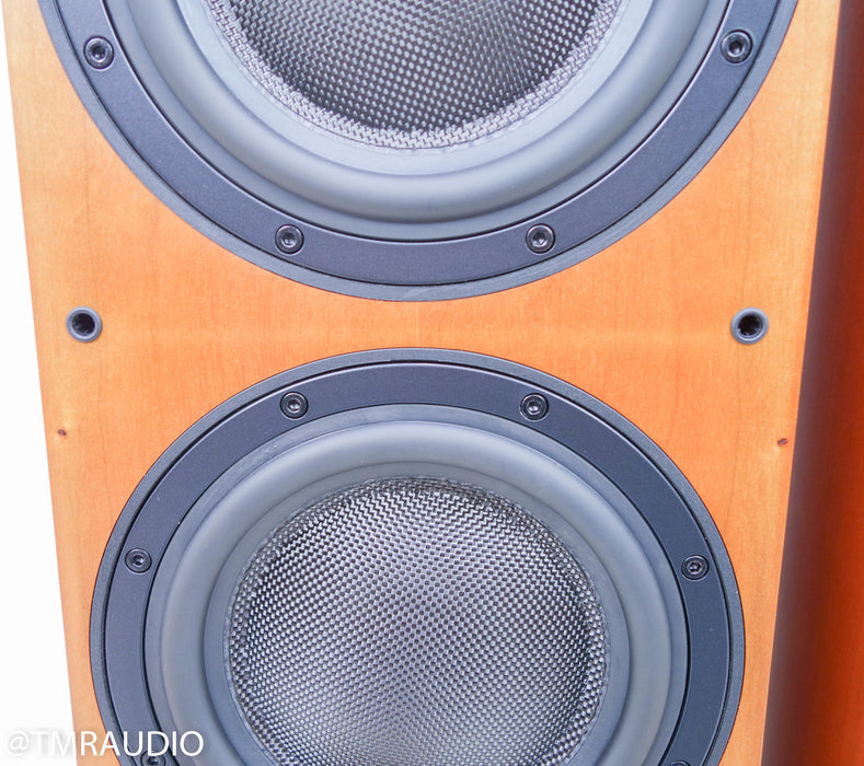B&W 804S Floorstanding Speakers