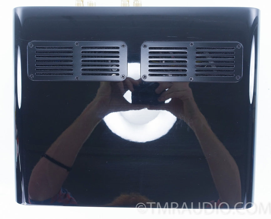 PeachTree Audio 220 Upgraded Power Amplifier w/ Level 2 Mods