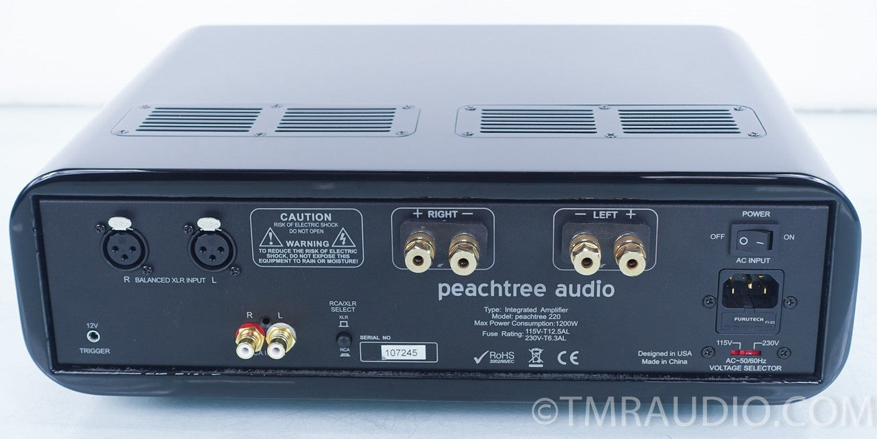 PeachTree Audio 220 Upgraded Power Amplifier w/ Level 2 Mods