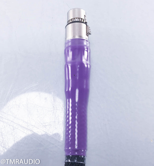 Revelation Audio Labs Passage CryoSilver Reference Power Umbilical