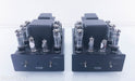 Audio Electronics (Cary) Six Pac Tube Mono Power Amplifier
